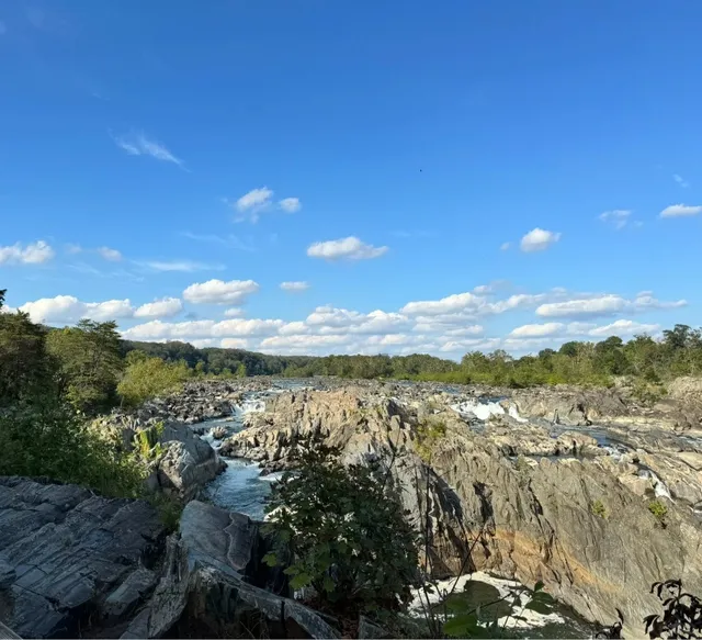 🍁 Must-Visit in the DMV this Autumn! 🥾