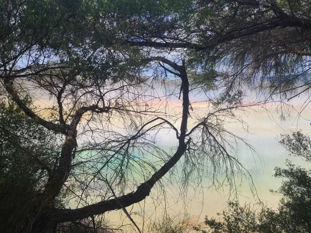 Smooth Public Transport Trip: Auckland to Rotorua Roundtrip