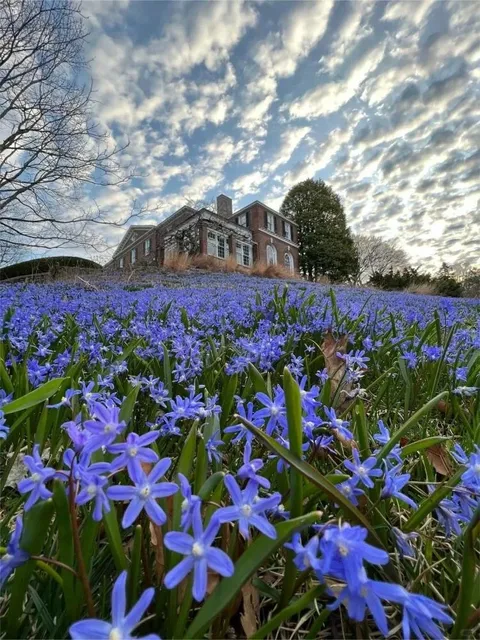 New York | Hidden Hilltop Garden in the Bronx 🌸