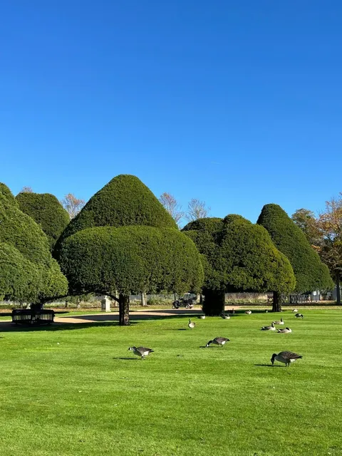 🇬🇧 ​​Summer Time in London! 