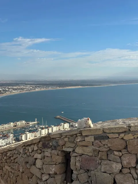 🇲🇦 Morocco Travel Guide (Part 1): Agadir 🏖️