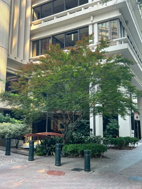 Charlotte, North Carolina 🌸🏙️