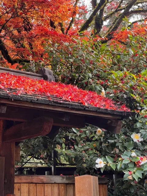 Seattle’s Color Palette of the Month