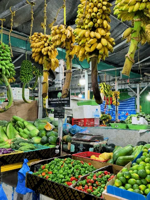 Male City Walk | The World’s Smallest Capital 🌆