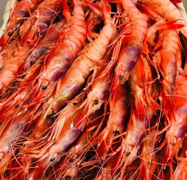 🇪🇸 Asador de Santiago - Úbeda's Hidden Michelin-Starred Gem 🏆🍖