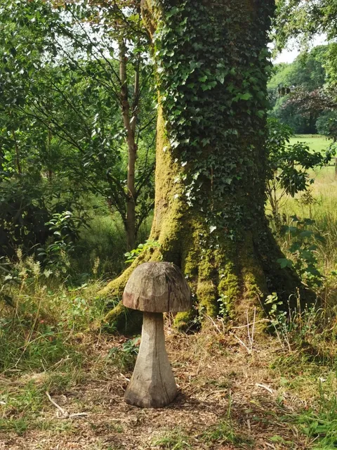 🇮🇪 One Day in Cork Adventure! ✨🚶‍♀️