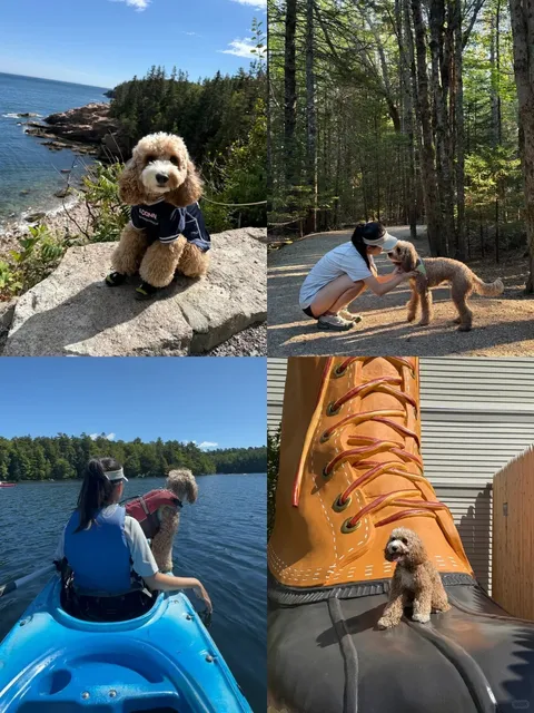 Portland | Acadia NP Road Trip Long Weekend, Dog-Friendly Version 🐾
