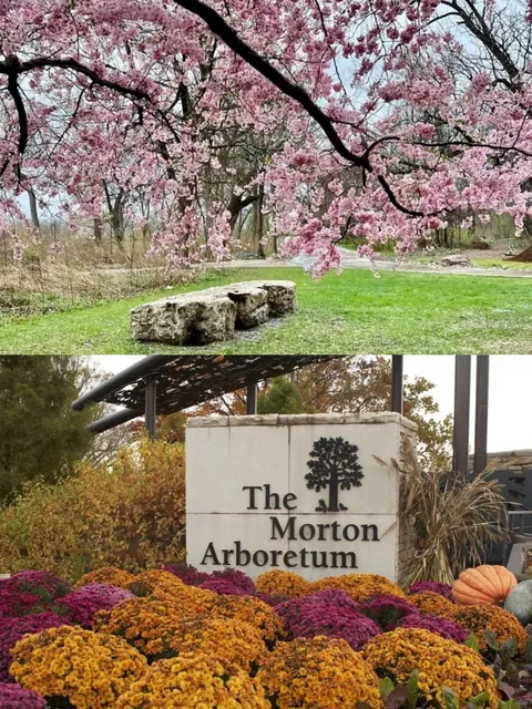 🌳 Exploring Chicago's Hidden Gems | Great Weekend Park Destinations 