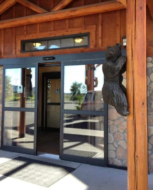 Traveling with Dogs: The Best Experience