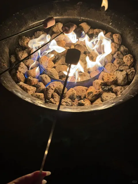 🇳🇿 Solo Road Trip in NZ's South Island? DON'T BE SCARED!