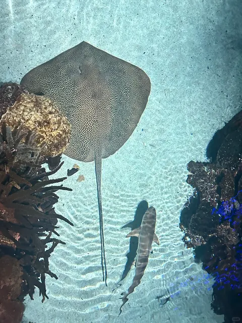 🌊 Hidden Gem of the East Coast: 2-Day Baltimore Itinerary!