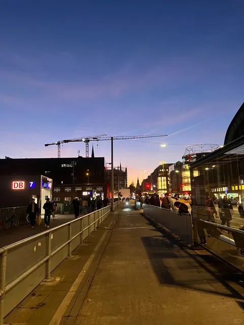 🇩🇪 Living the Life of My Dreams