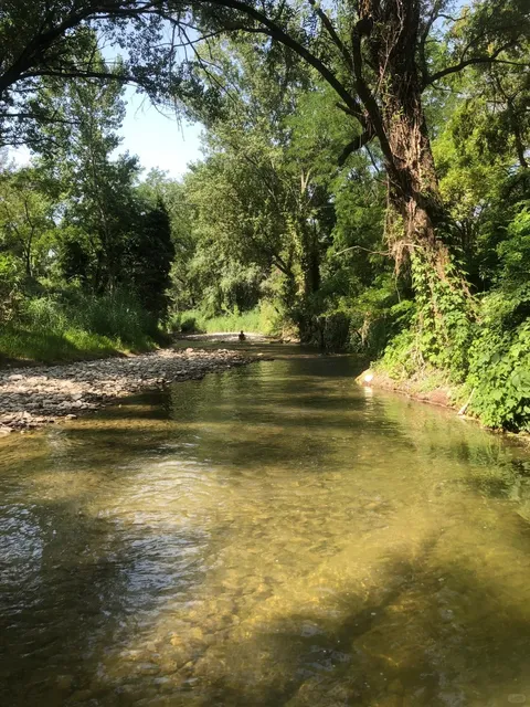 🌿 Escaping the City Heat: A Morning at Parco Lungosavena, Bologna