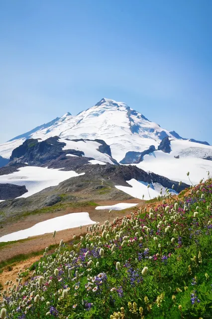 Seattle | An Annual Trip to Mount Baker