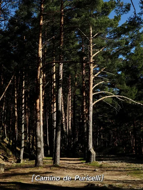 🇪🇸 Hiking in Cercedilla | Madrid's Mountain Escape 🌲🥾