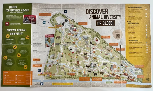 🚏🐾 One-Day Trip to Munich || Hellabrunn Zoo