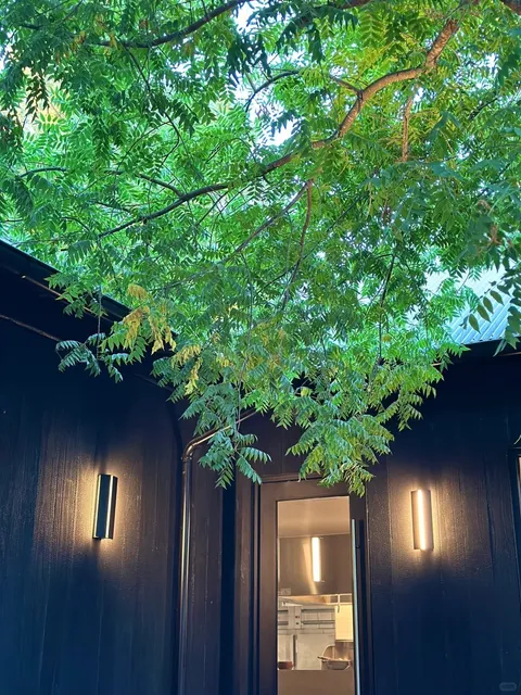 🍲 Amazing Vietnamese Food｜Napa