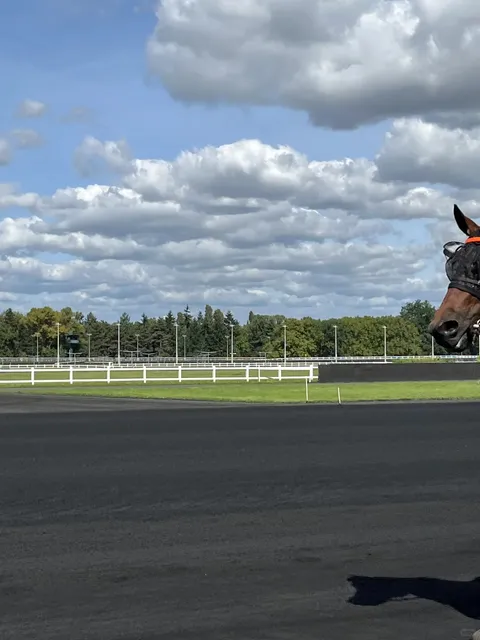 Unlocking a New Experience! 🔓🐎