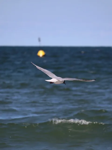 🇩🇪 Lübeck: Slow Living at Its Finest ⚓📸