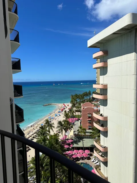 Must Stay at the Aloha Hotel in the City Center! 🌺