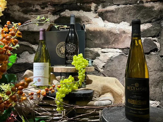 🍁 Asheville Travel Guide | The Back Garden of North Carolina 🌸🍇🍷