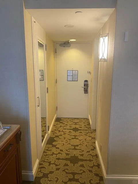 How Is This New Orleans Hotel So Affordable & Amazing? 🏨💫