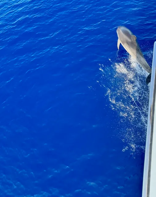 Ciao Sardinia | A Nautical Love Letter