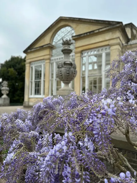 Syon House: West London's Best-Kept Secret  