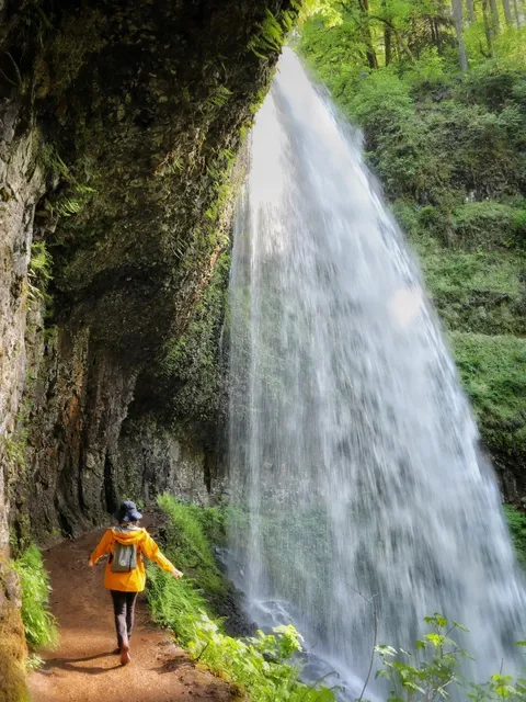 Hike Through Waterfalls in Portland | See 10 Waterfalls in One Trail