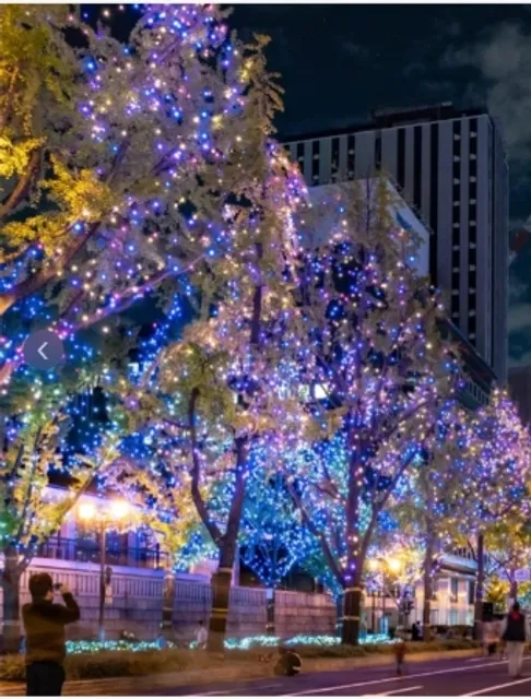  Osaka Christmas Market 🌸