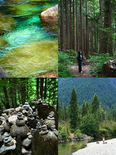 🇨🇦 Golden Ears Park Adventure📍Lower Falls Trail