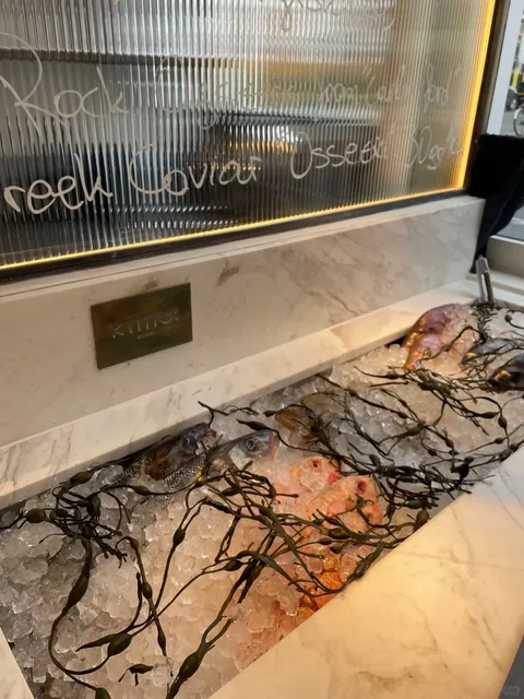 Fresh Catch & Charity Vibes - A Must-Try Fish Spot!​​