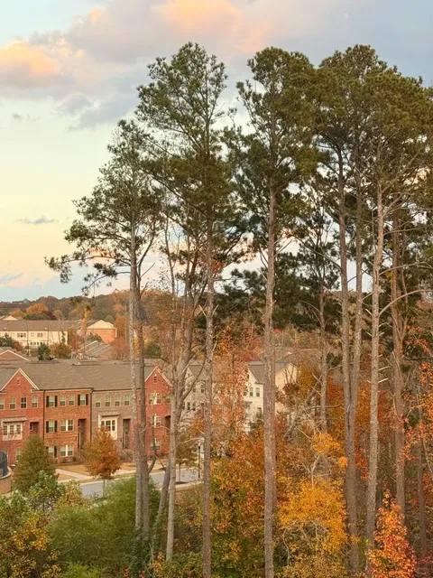 🍂 Forever in Love with Autumn