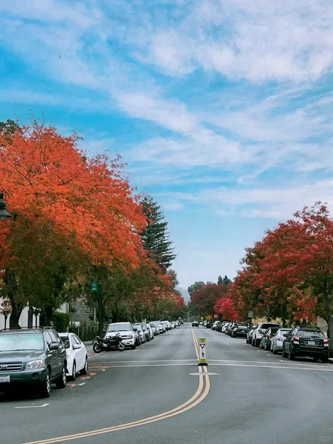 🍁 Napa Valley Yountville Guide: A Hidden Gem for Fall Foliage 🍂