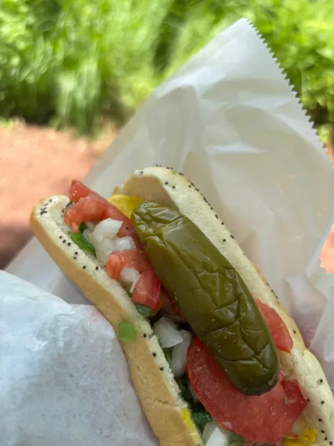 🌭 The Best Chicago-Style Hot Dog Stand! 🏆