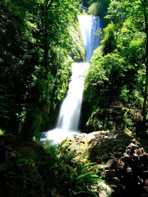 Portland | Summer is a Verb ✨