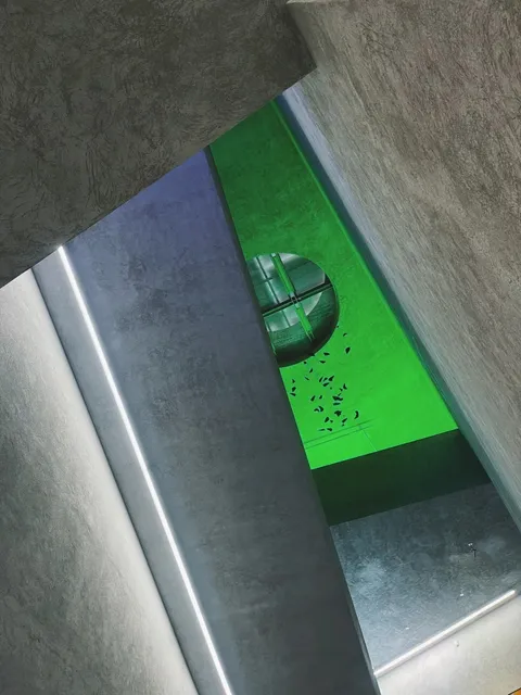 Basel's Most Dreamy Exhibition 