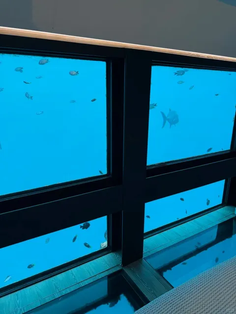 🪸 Heart Reef Underwater Hotel 🐢 Poop with Turtles & Fish!