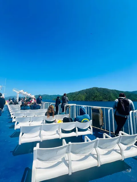 🇳🇿 New Zealand Days 5️⃣&6️⃣: The Surprising Charm of Picton