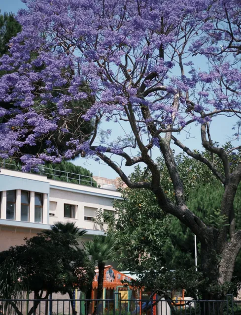 Messina｜A Charming Town That Stole My Heart by Accident 🌸