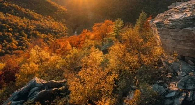 Blackwater Falls State Park