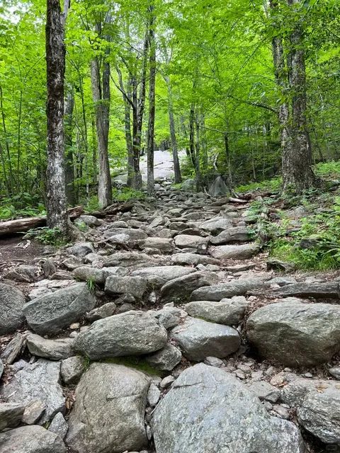 ⛰️ Monadnock State Park - Boston's Ultimate Hiking Challenge! 🏔️  