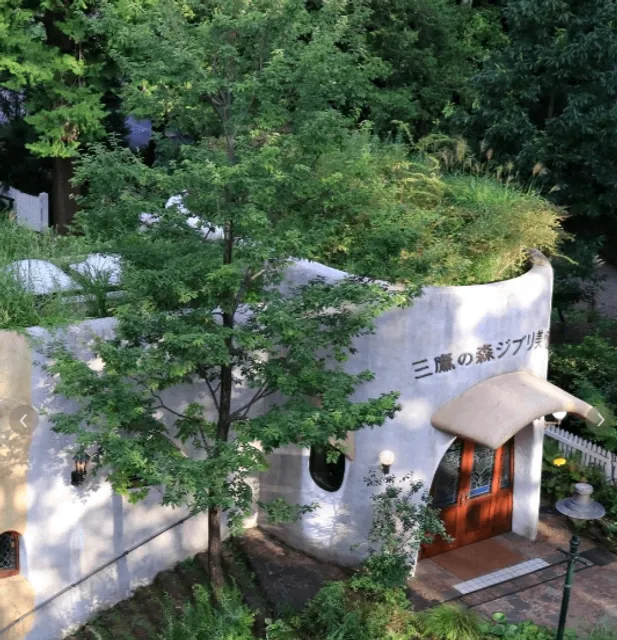 Tokyo Hidden Gems: Exhibitions and Museums 🌟