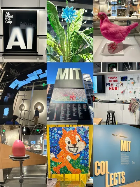 Boston's Must-Visit, Hardcore Tech Museum‼️