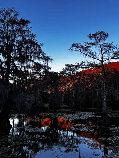 Caddo Lake 2-Day 1-Night Fall Getaway Guide
