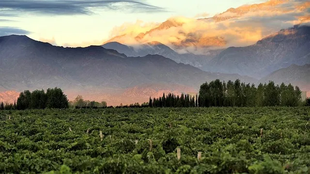 🇦🇷 Mendoza: Nature's Playground for Adventurers & Wine Lovers 🍷🏔️