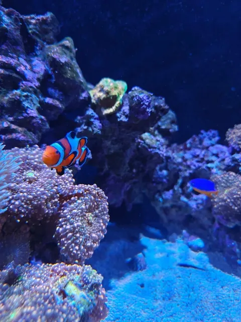 🇺🇸 Rochester Trip Guide: Perfect for Families with Kids! 👨‍👩‍👧‍👦