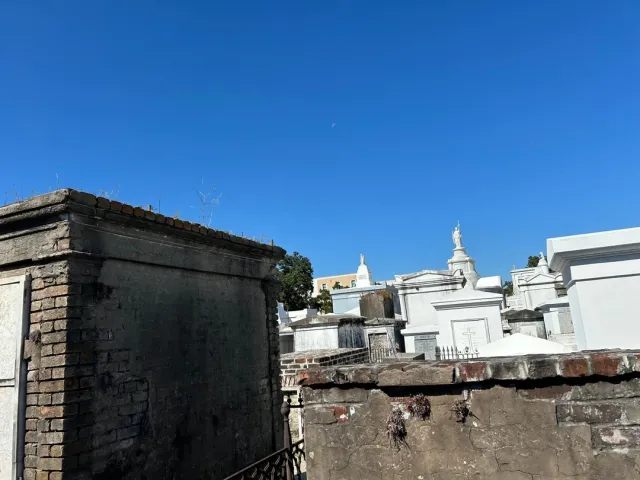 An Unforgettable Tour with Zelda! 🌟