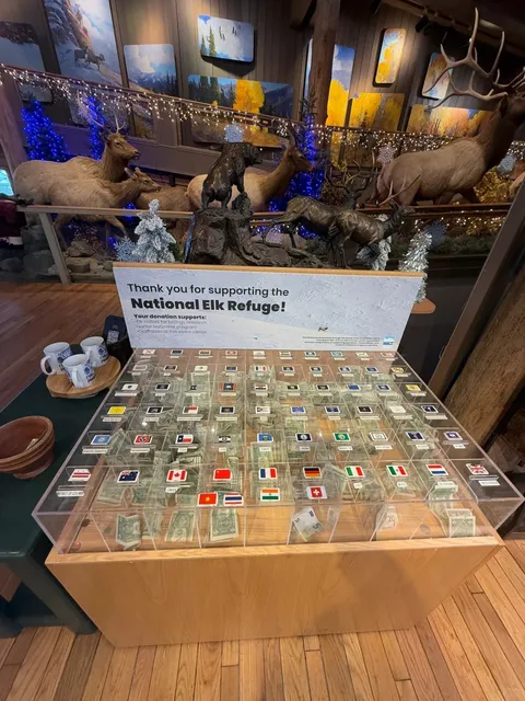 National Elk Refuge Sleigh Ride: Your Step-by-Step Guide!