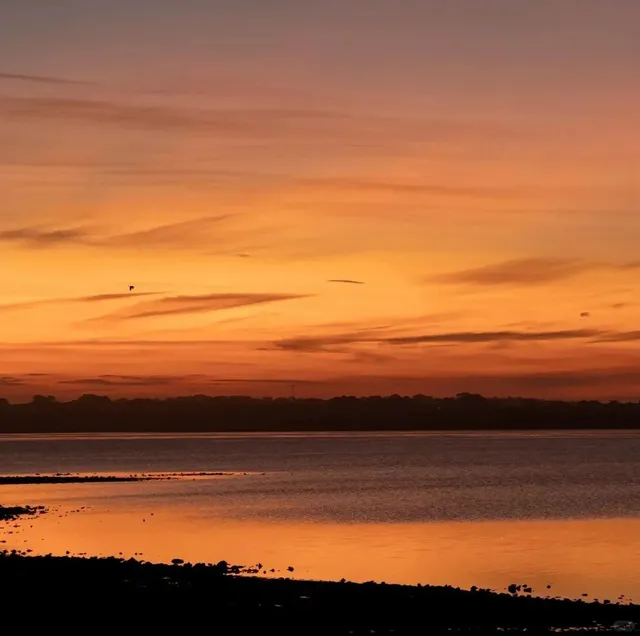 🐧 Philip Island Nature Park: Where Magic Meets the Wild 